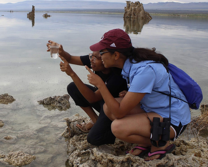 Two young women on a beach looking at clean ocean water through a plastic cup