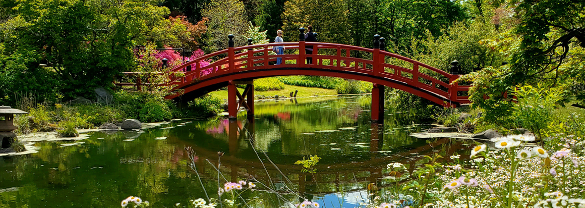 Duke Farms Japanese Garden