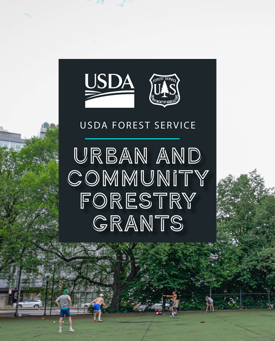USDA’s Forest Service Announces $1B in Urban and Community Forestry Grants. Six DDF Grantees Selected as Regranting Partners.